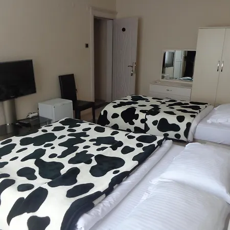 Serapion Hotell Bergama
