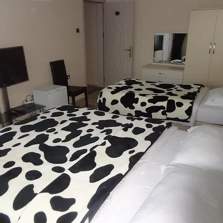 Hotell Serapion *